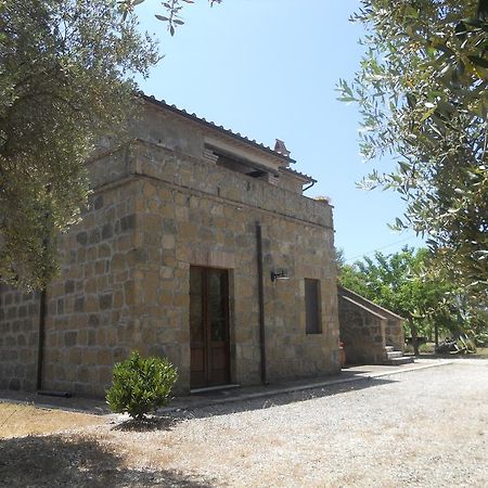 Agriturismo Tenuta Roccaccia ปีติญาโน ภายนอก รูปภาพ