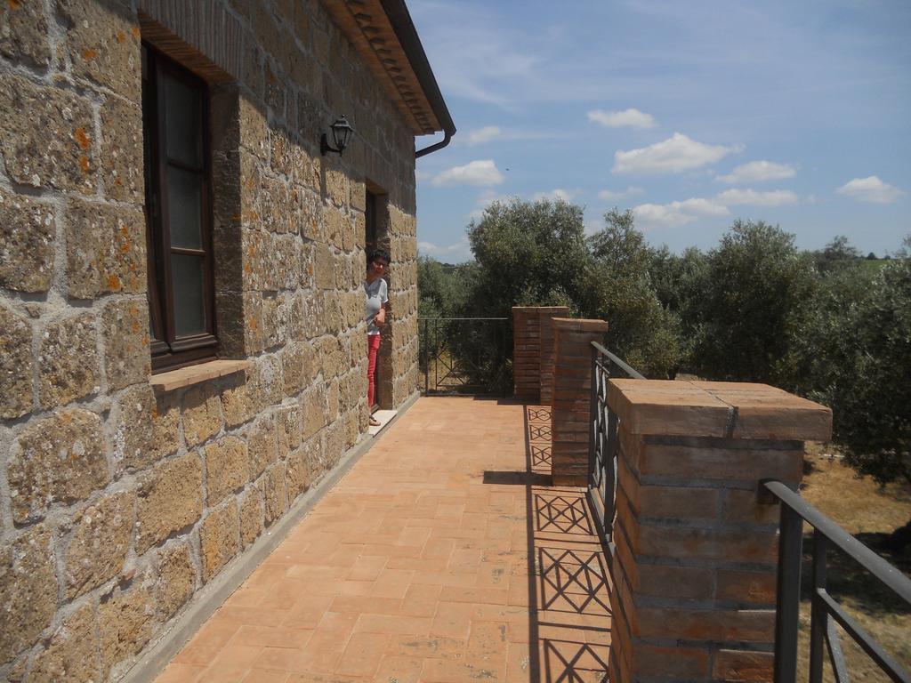 Agriturismo Tenuta Roccaccia ปีติญาโน ภายนอก รูปภาพ